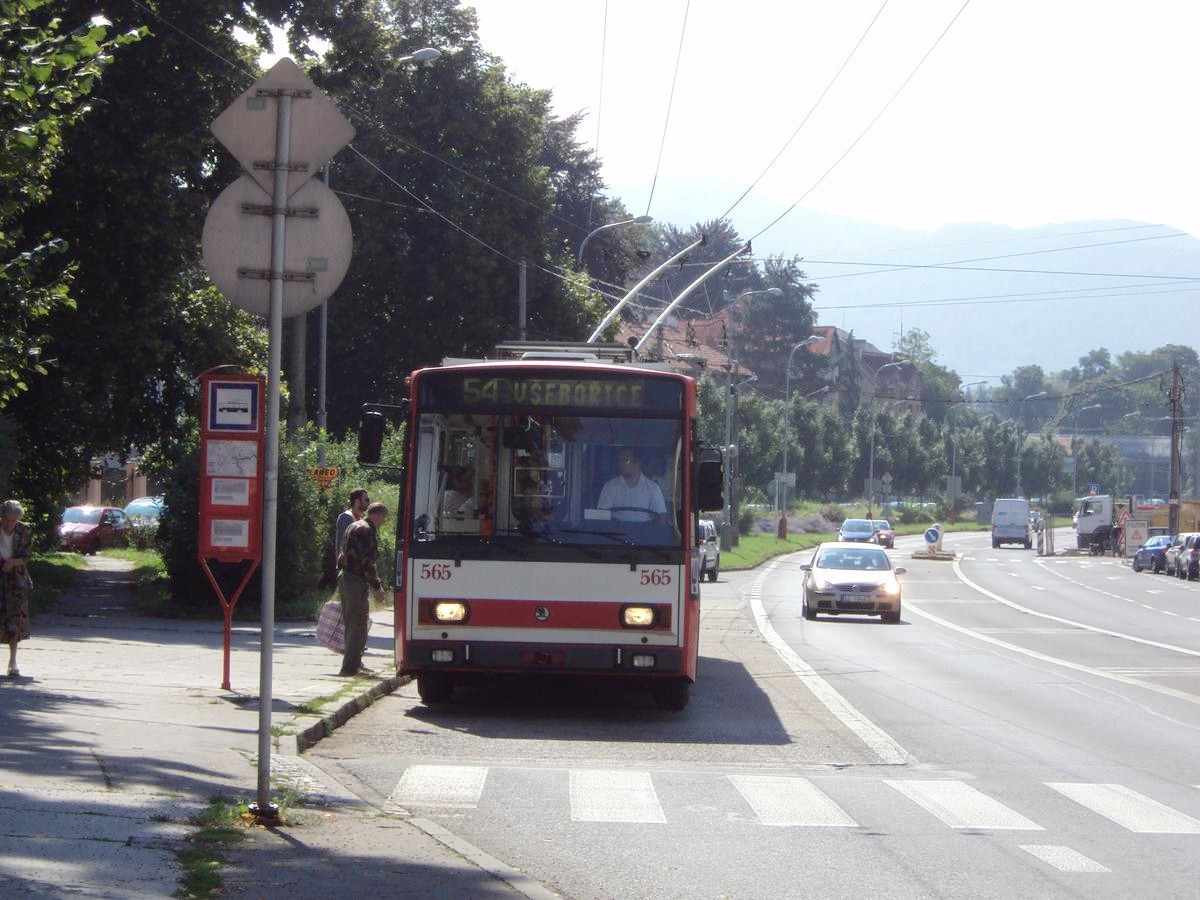 565.JPG