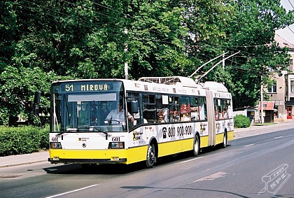 žluťásek.jpg