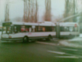 07032010(027).jpg