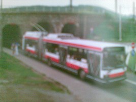 07032010(031).jpg