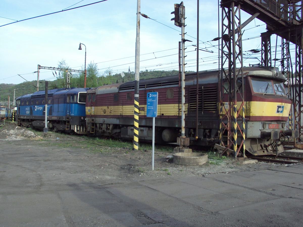 DSC00344.jpg