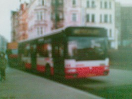 07032010(010).jpg