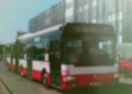 07032010(016).jpg
