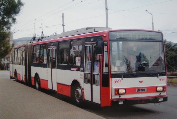 559.jpg